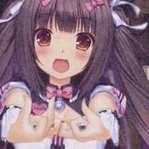 Meet your Posher, Lissa